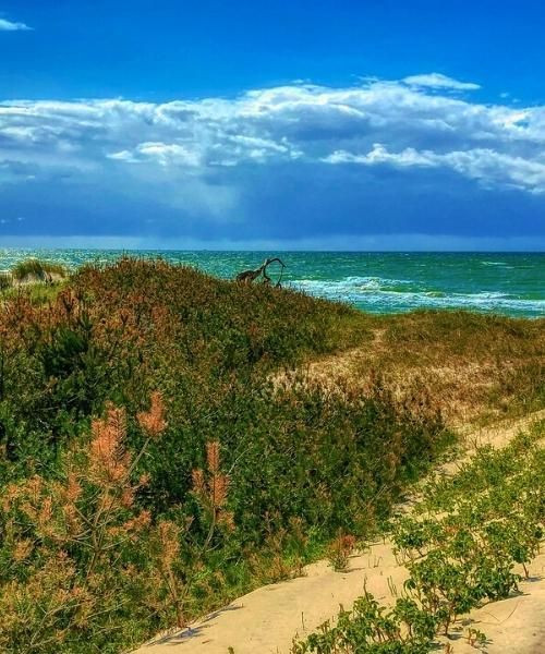 Dunes côtières de Prerow - mer Baltique - Allemagne