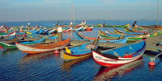 Barques moliceiro traditionnelles colorées - Ria de Aveiro - Portugal