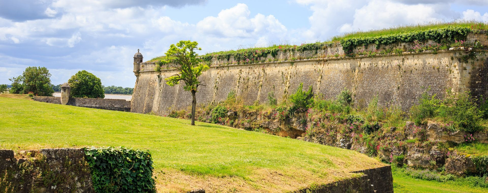 Citadelle au bord de l'estuaire et vignes - Gironde - France