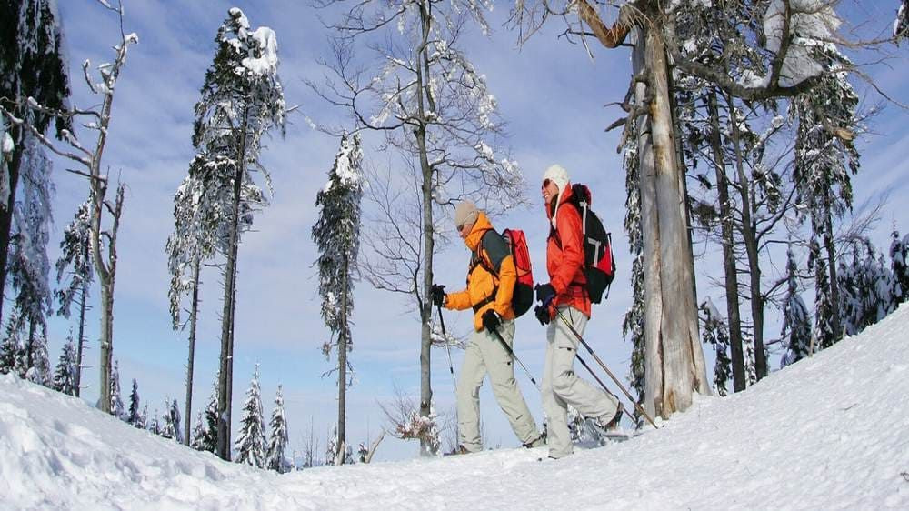 Couple de randonneurs en raquettes - Forêt-Noire - Allemagne