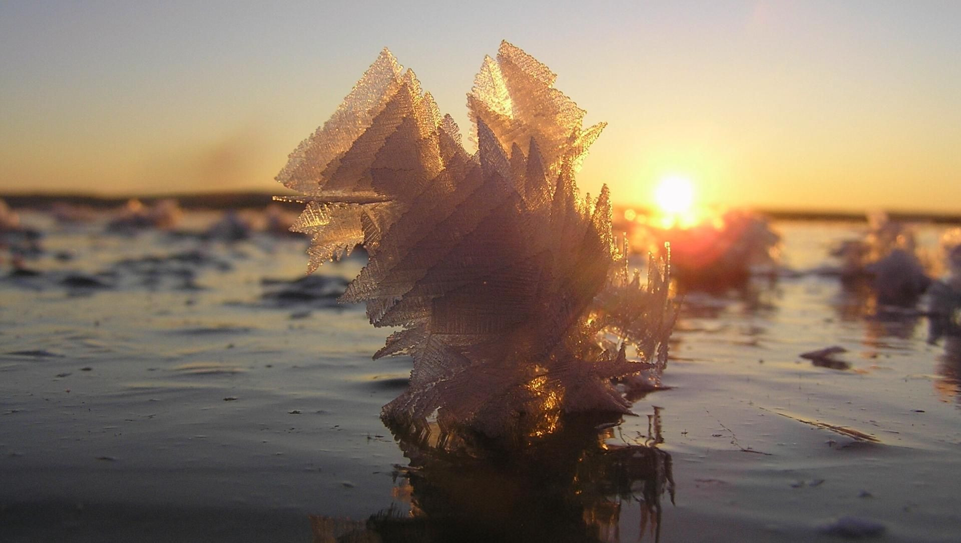 Cristaux de givre sur un lac gelé au couchant - Laponie - Finlande
