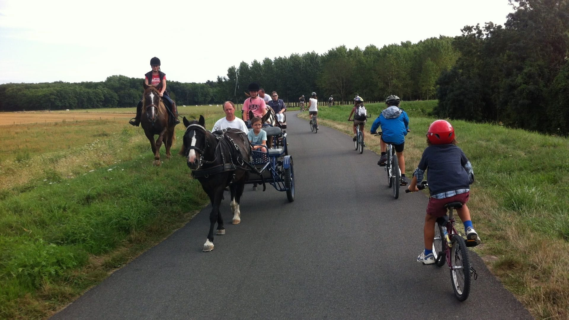 Croisement entre cyclistes et calèche à cheval sur une voie verte - France