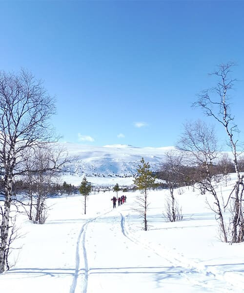 Piste de ski de fond dans la vallée enneigée de Sjoa - Norvège