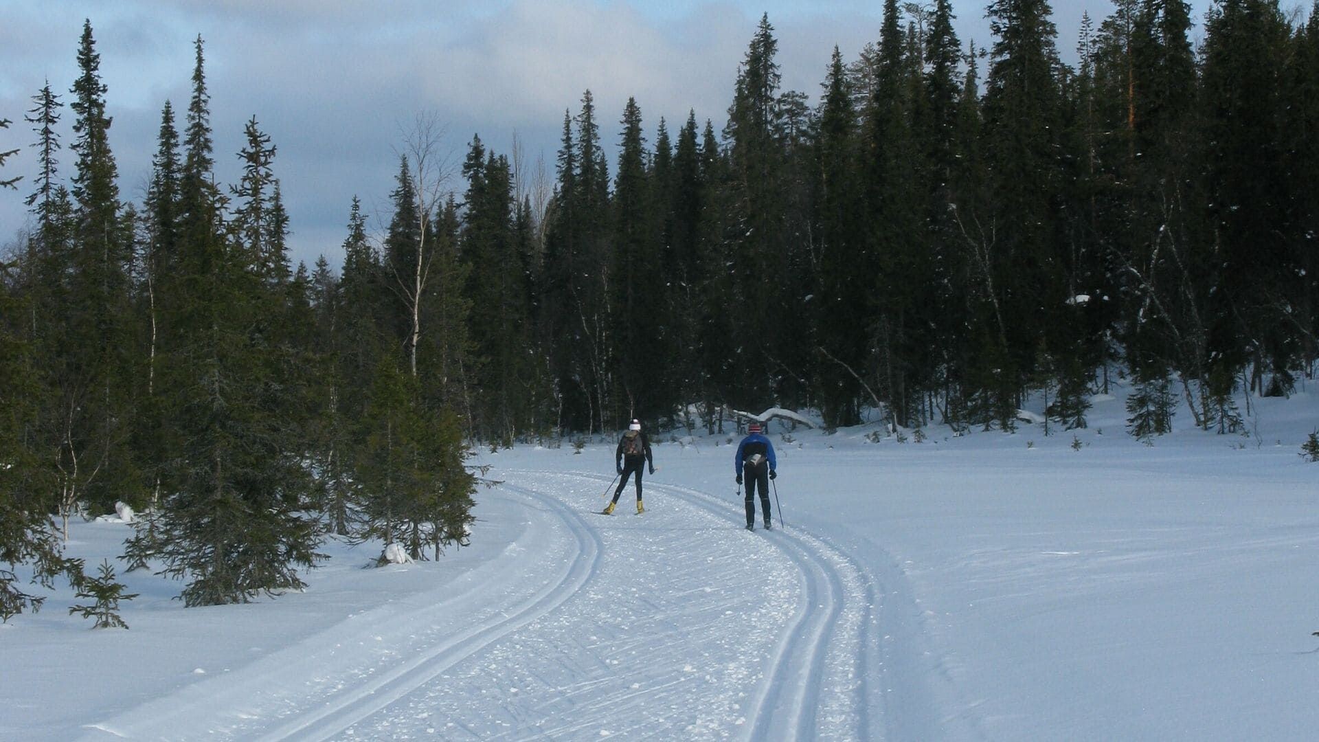 Deux skieurs de fond sur une piste forestière - Laponie - Finlande