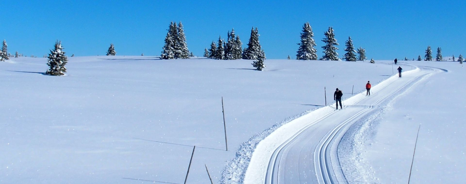 Skieurs de fond sur une piste damée enneigée - Golsfjellet - Norvège
