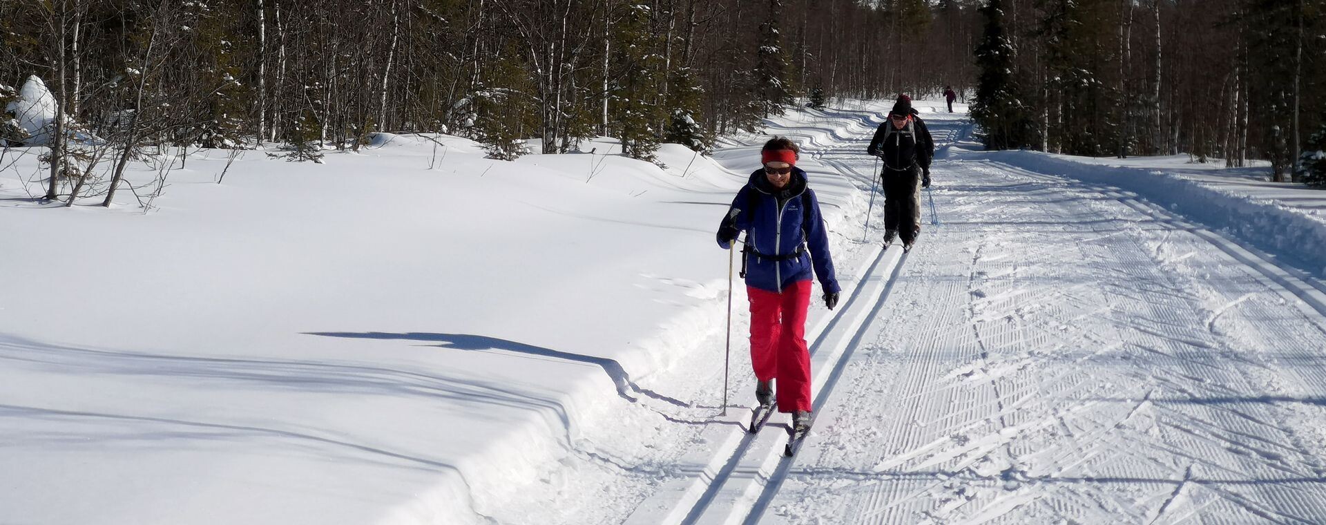 Skieurs de fond en forêt enneigée - Levi - Laponie finlandaise