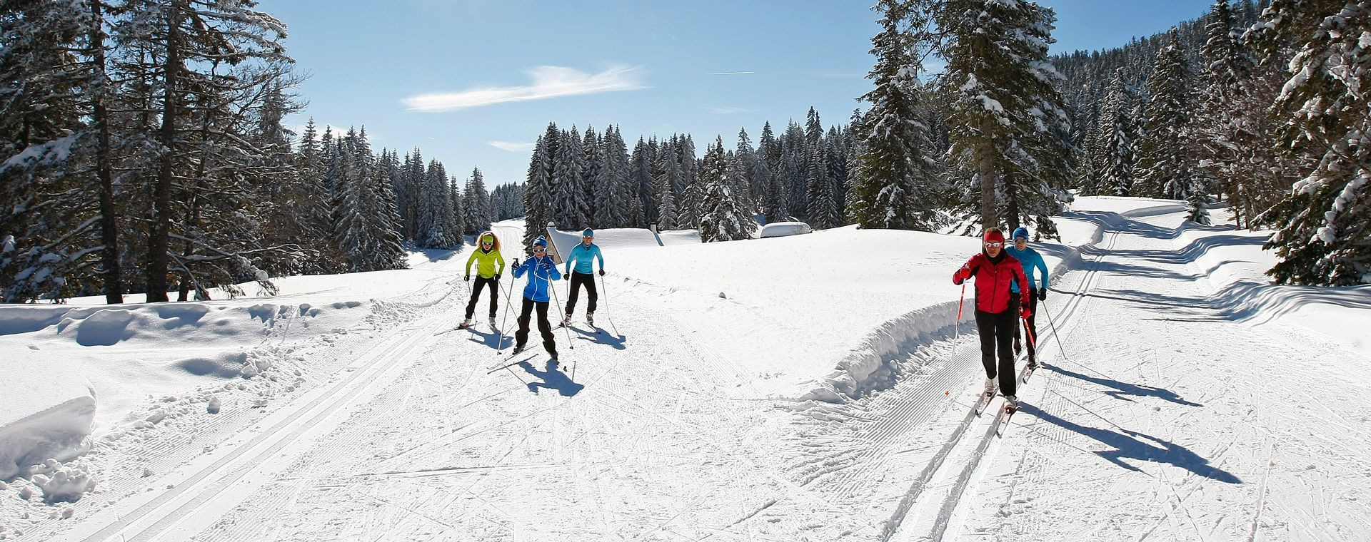 Skieurs de fond sur les pistes enneigées en forêt - Autrans-Méaudre - Vercors