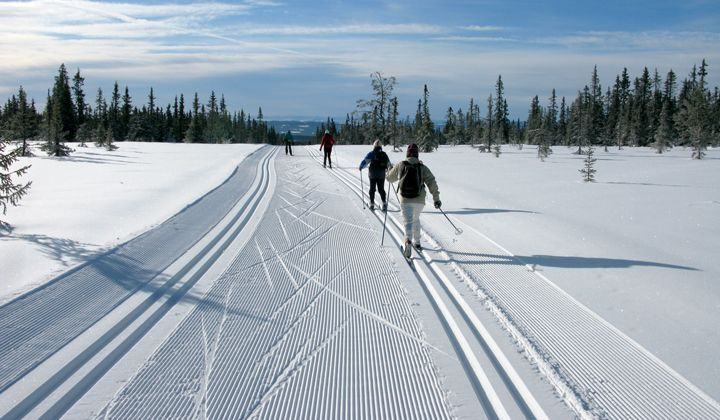 Ski de fond à Seefeld - Tyrol - Autriche - cross-country-skiing-in-seefeld-tyrol-austria-3
