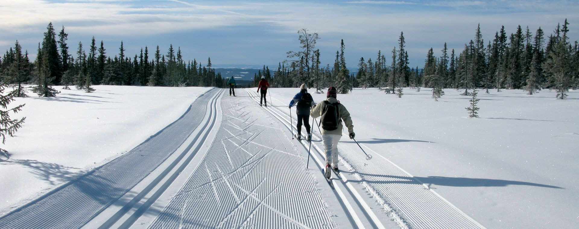 Ski de fond sur piste damée du plateau boisé - Sjusjøen - Norvège