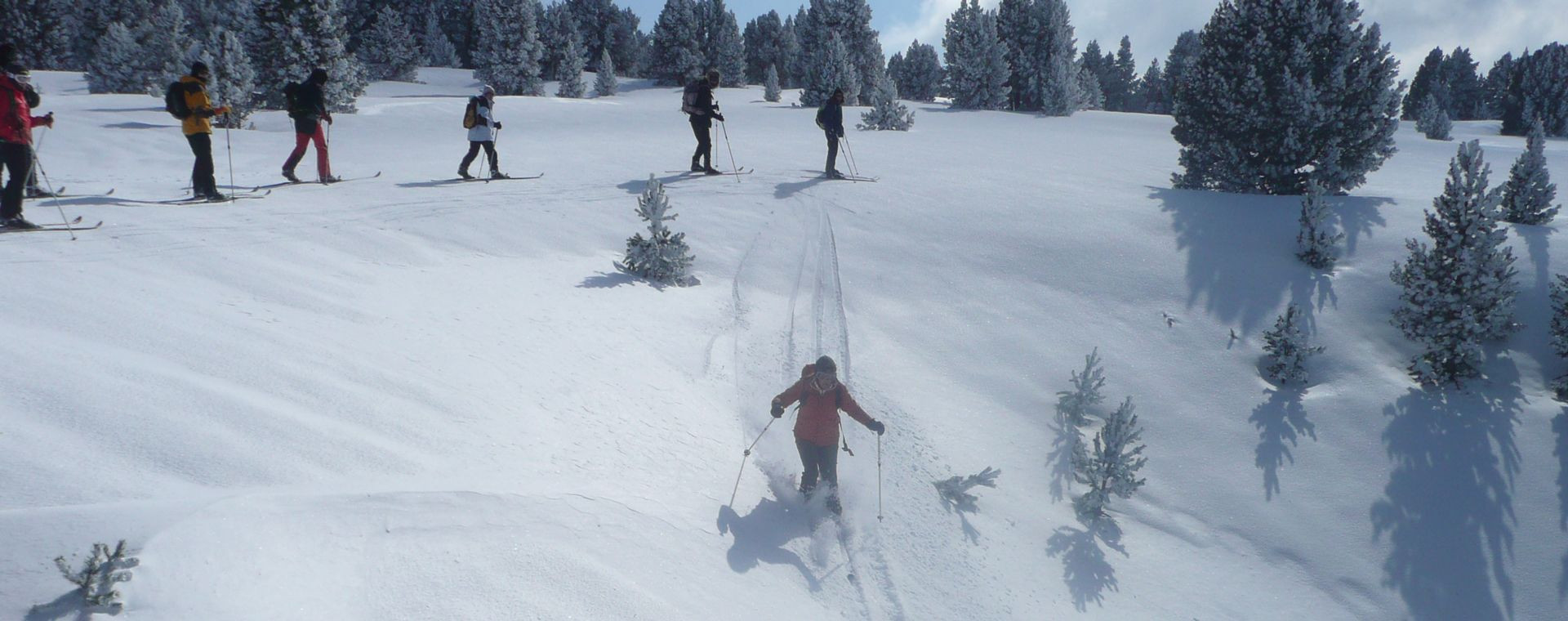 Ski nordique en forêt enneigée - cœur du Vercors - Alpes, France