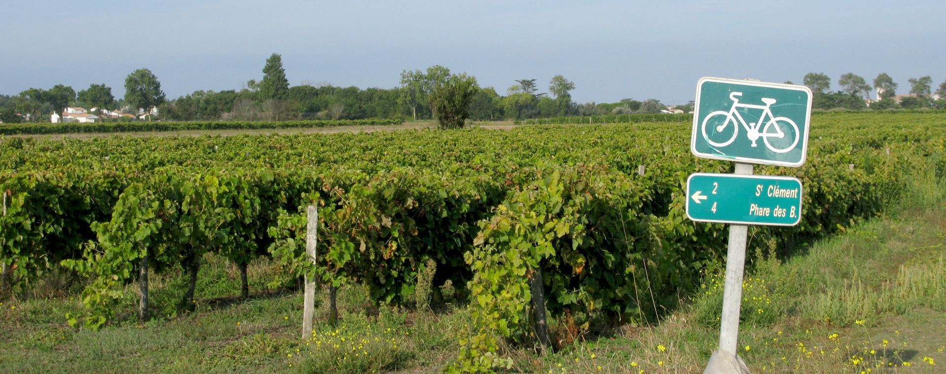 Balisage des pistes cyclables de l'île de Ré - Charente-Maritime - France