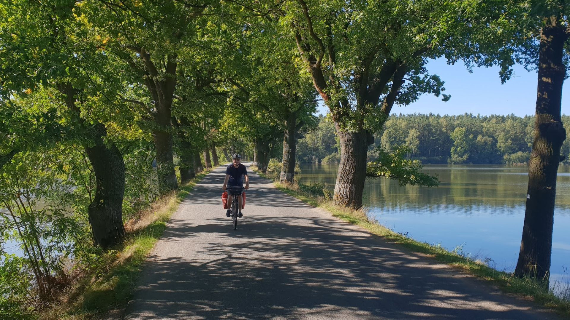 Cycliste sur un chemin ombragé au bord d'un lac - Allemagne