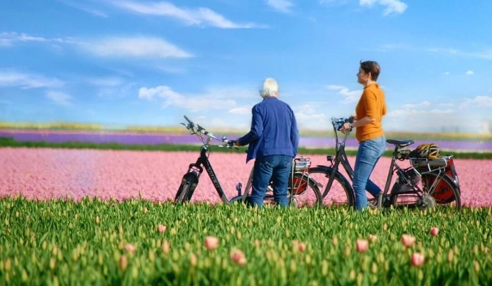 Vélo et tulipes à Amsterdam - Pays-Bas