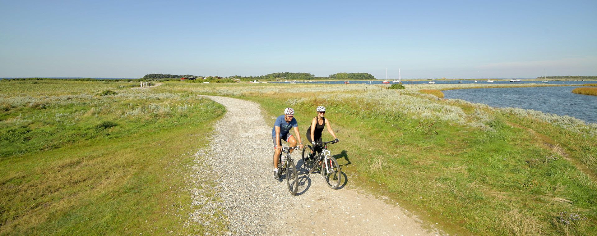 Cyclistes sur un sentier côtier - Île de Fionie - Danemark