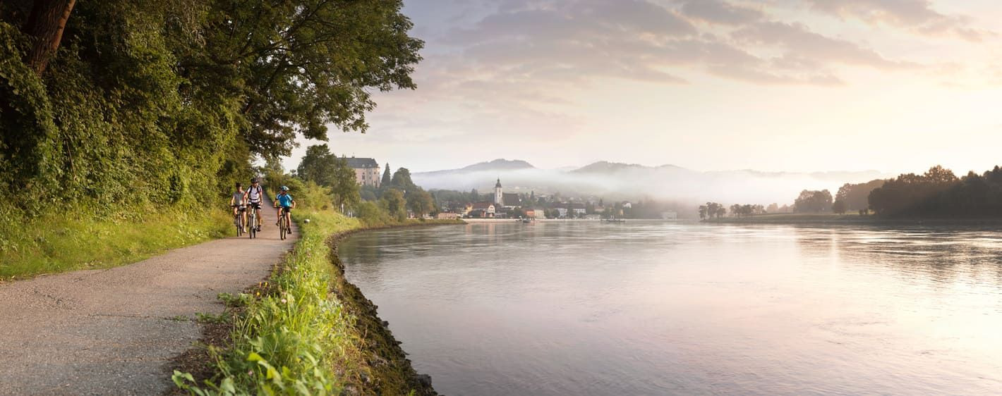 Cyclistes le long du Danube près de Grein - Haute-Autriche - Autriche