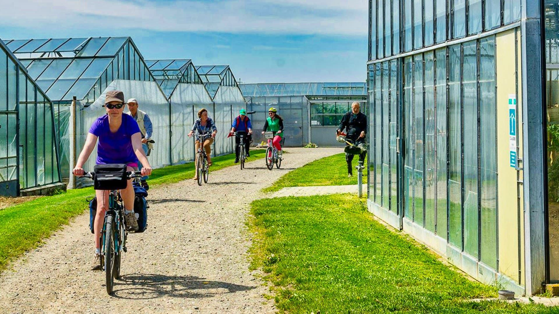 Cyclistes parmi les serres - Lac de Constance - Allemagne