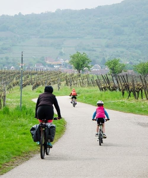 © Quentin Vanaker À vélo à travers les vignes - Alsace - France