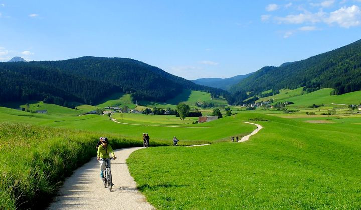 Cyclistes sur un chemin entre prairies verdoyantes - Vercors - France