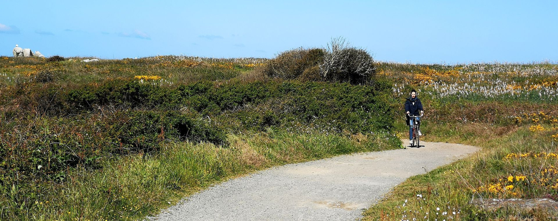 Cycliste sur un sentier côtier fleuri - Île d'Yeu - Vendée