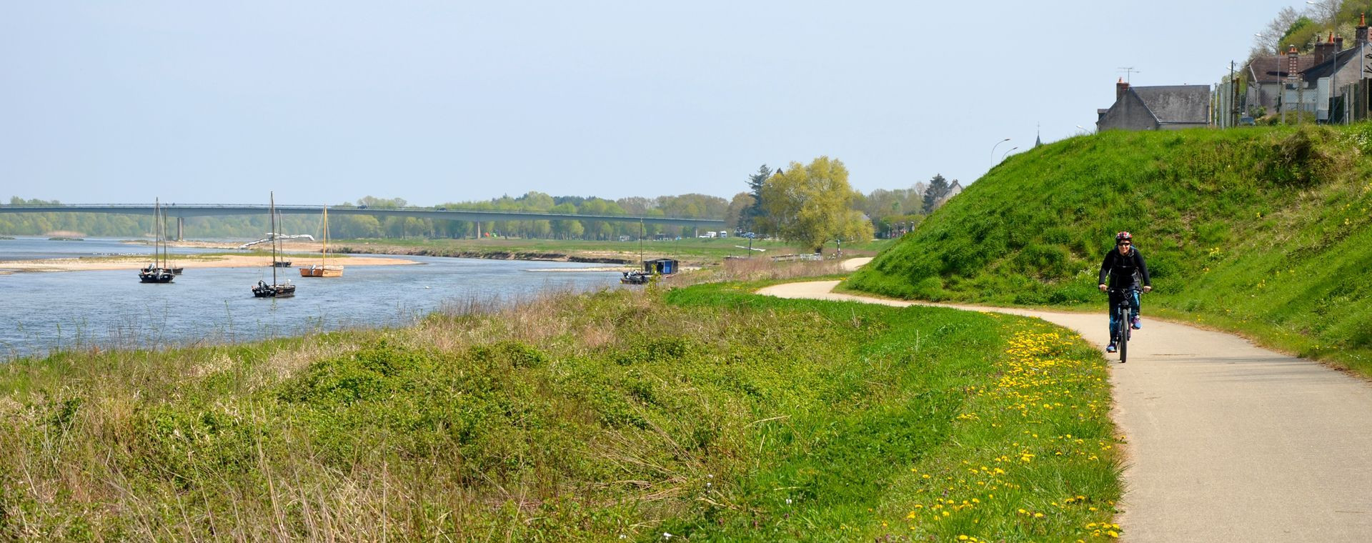 Cycliste sur la véloroute au bord de la Loire - entre Blois et Amboise - France