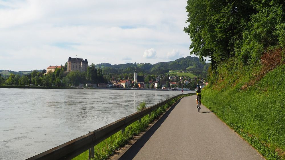 Cycliste sur la piste cyclable du Danube face à Grein - Autriche