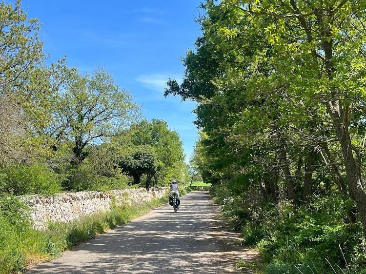 Cycliste sur un chemin bordé de murets de pierre sèche - Méditerranée