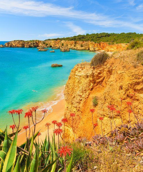 Cycliste surplombant une plage atlantique - Algarve - Portugal