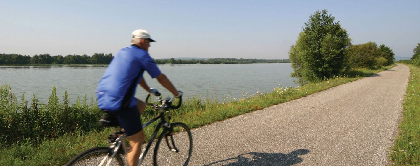 Cycliste le long du Danube près de Hainburg - Basse-Autriche - Autriche