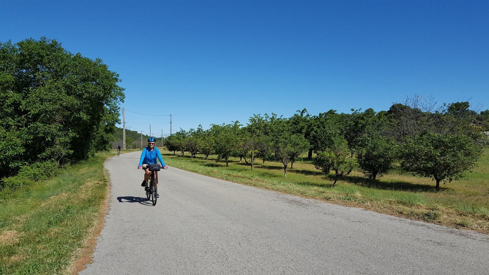 © Charlotte Laventureux Cycliste longeant un verger - de Venasque à Châteauneuf-du-Pape - Vaucluse