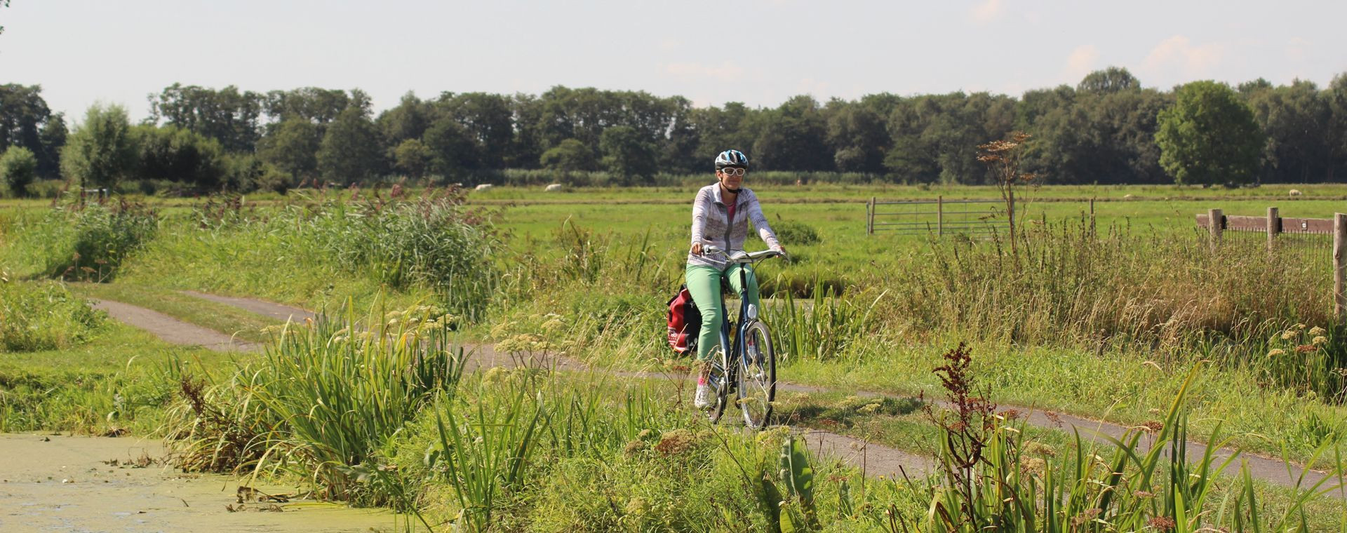 Cycliste sur un chemin à travers les prairies - Hollande-Méridionale - Pays-Bas