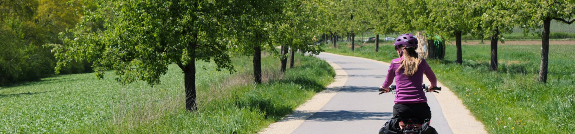 Cycliste avec sacoches sur une piste bordée d'arbres - Campagne