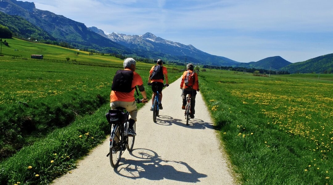 Cyclists on a road in the Vercors