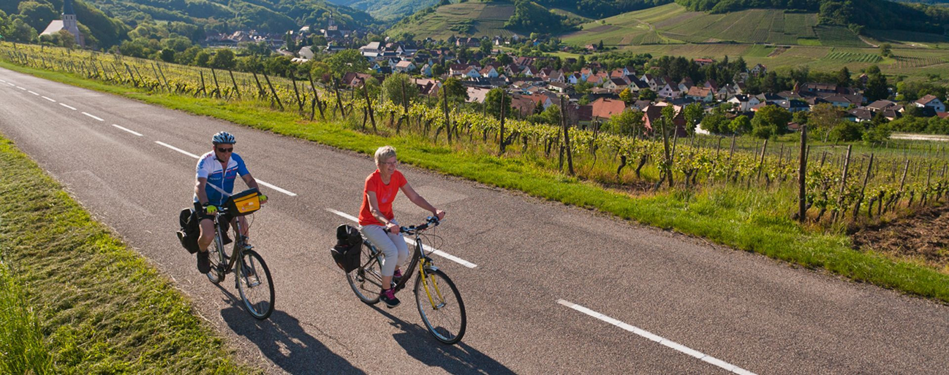 Cyclistes dans les vignobles près d'Andlau - Alsace - France