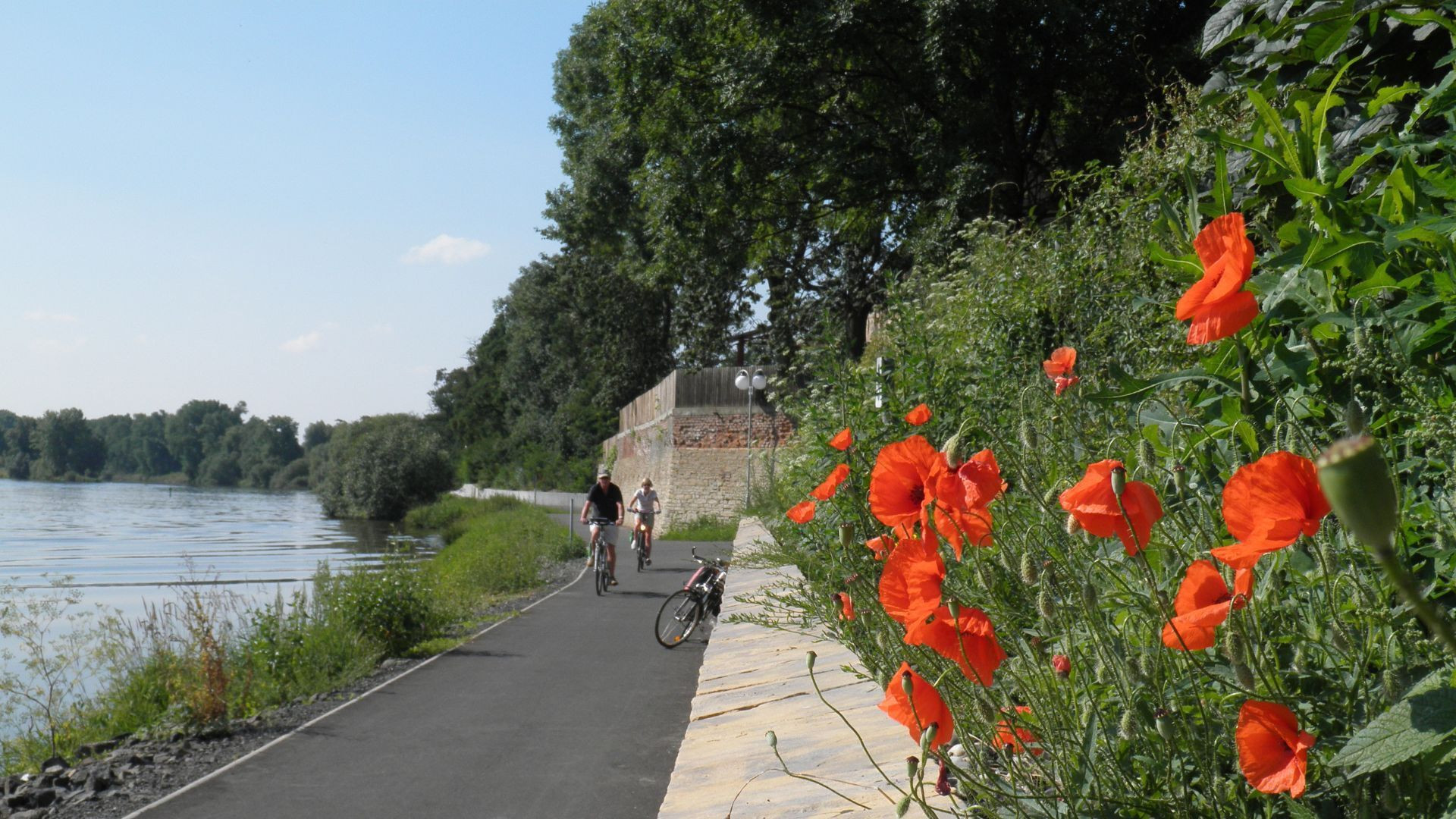 Cyclistes sur la piste cyclable des rives de l'Elbe - Tchéquie