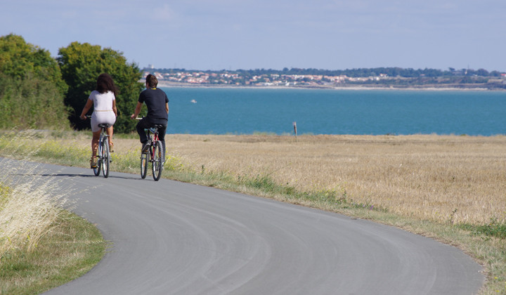 Cyclistes sur l'île de Ré - Charente-Maritime - France