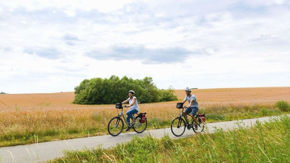 Cyclistes sur piste cyclable à travers champs - Mecklembourg - Allemagne