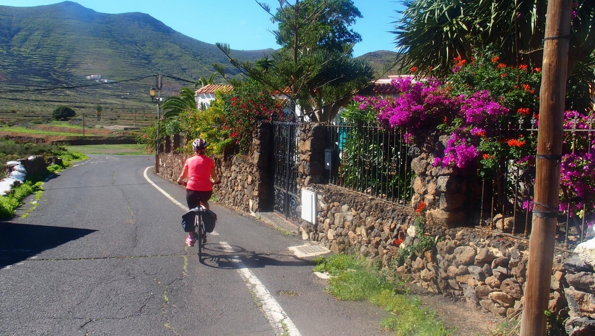 Cyclotouriste sur une route fleurie - Lanzarote - Canaries, Espagne