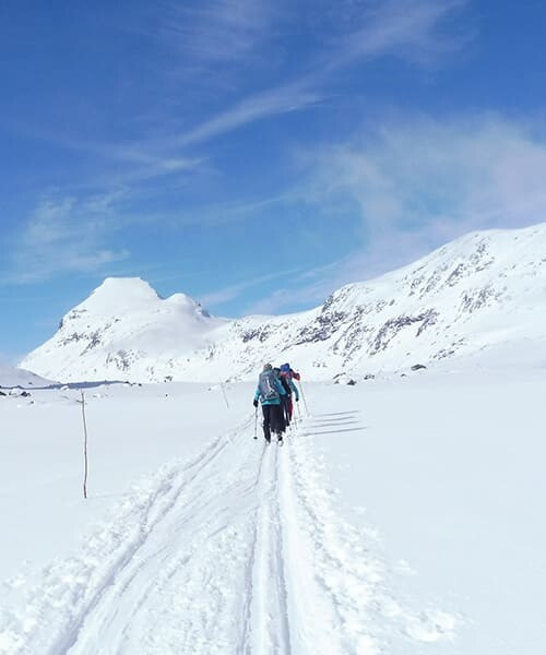 Dans les vallées des plateaux norvégiens
