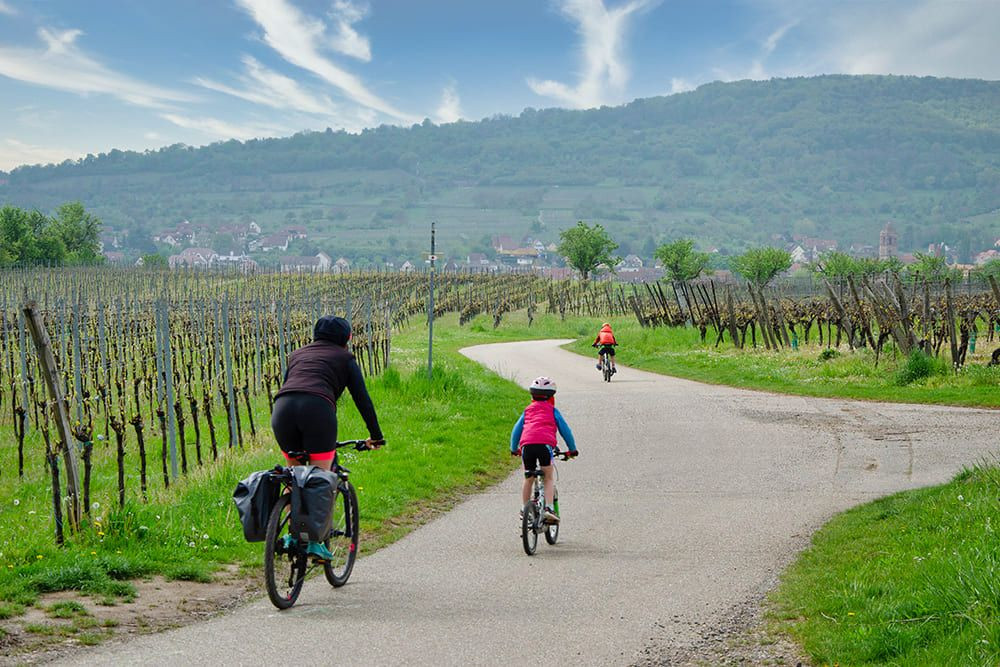 © Quentin Vanaker Famille à vélo dans les vignes alsaciennes - Alsace - France