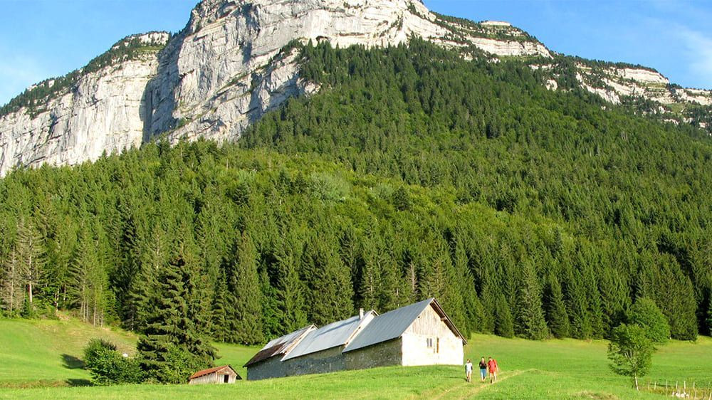 © Se Tours Paysage du Danube - Allemagne