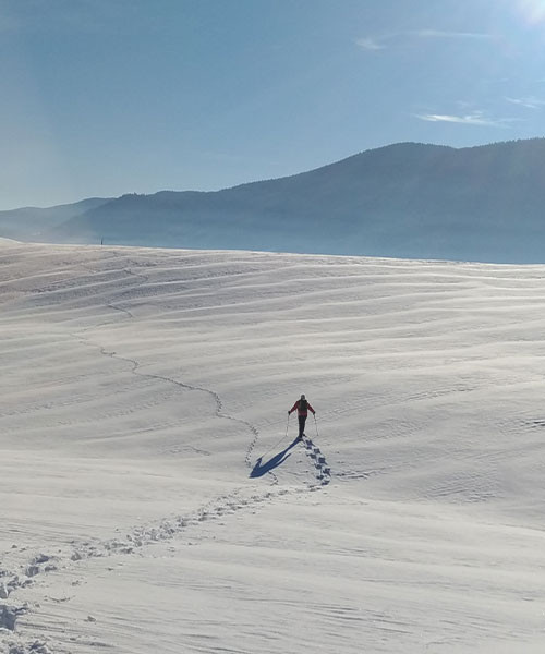 Plaine de Darbounouse en hiver - Vercors - France