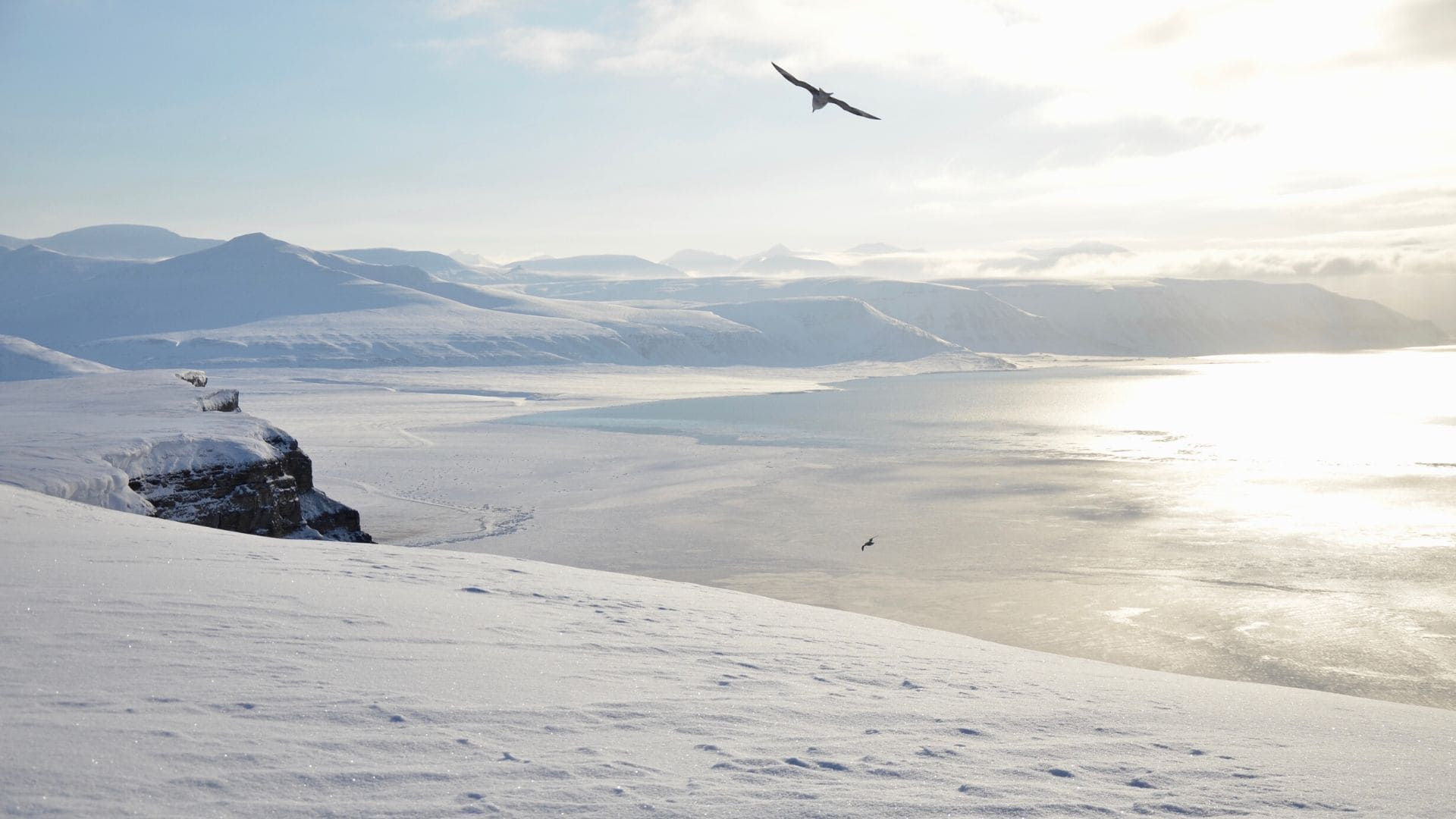 De La Glace A Perte De Vue - Norvège
