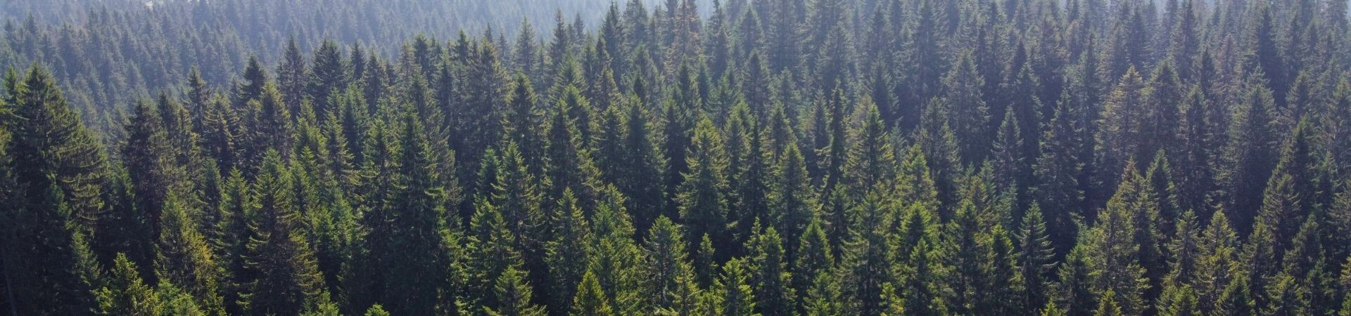 The carbon footprint of your trip | Grand Angle Tours