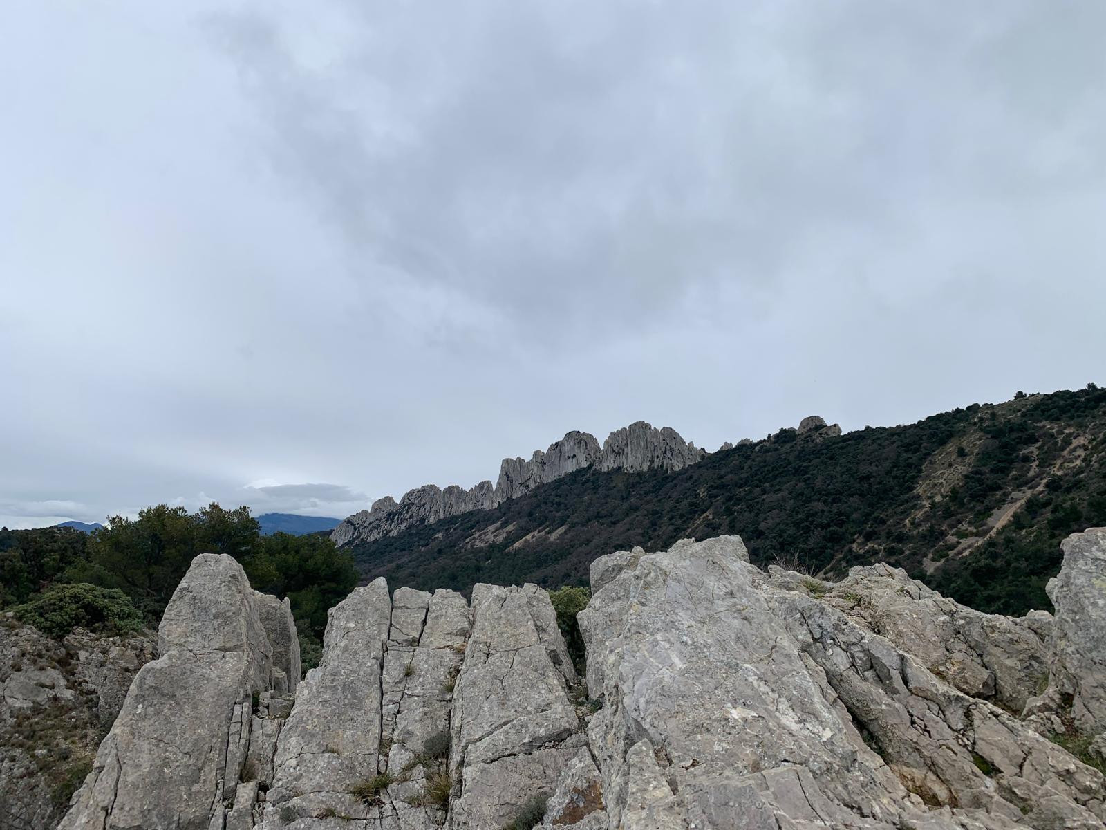 dentelles-de-montmirail-2