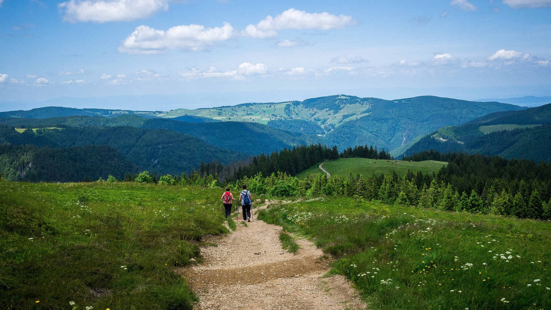 deugp0008-germany-feldberg-summit