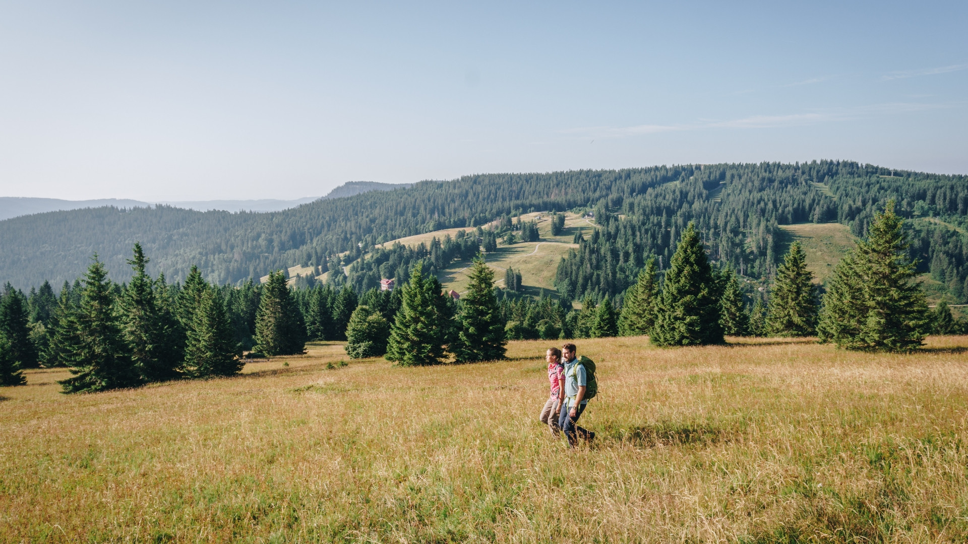 deugp0008-germany-feldberg