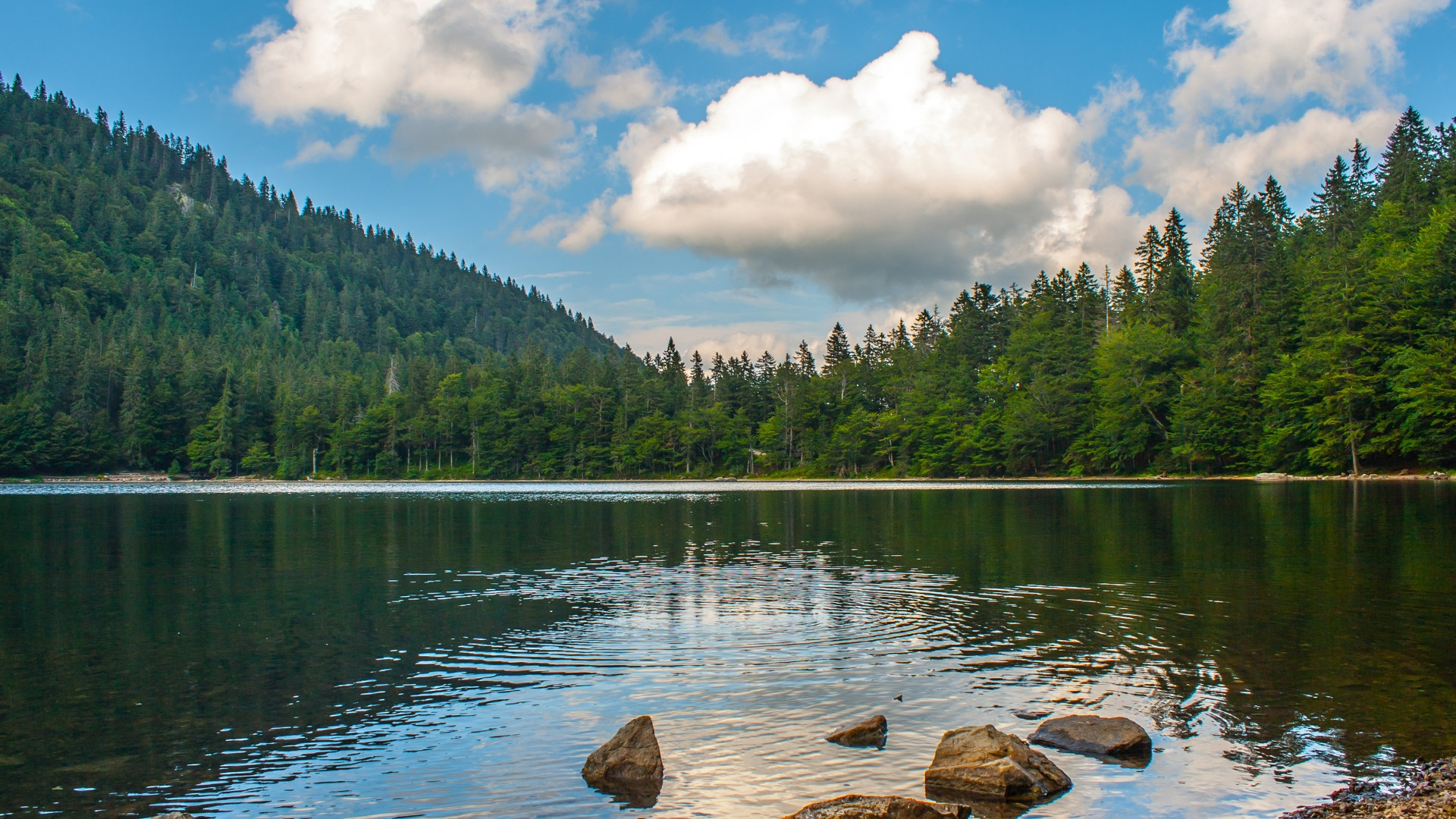 deugp0008-germany-feldsee-lake