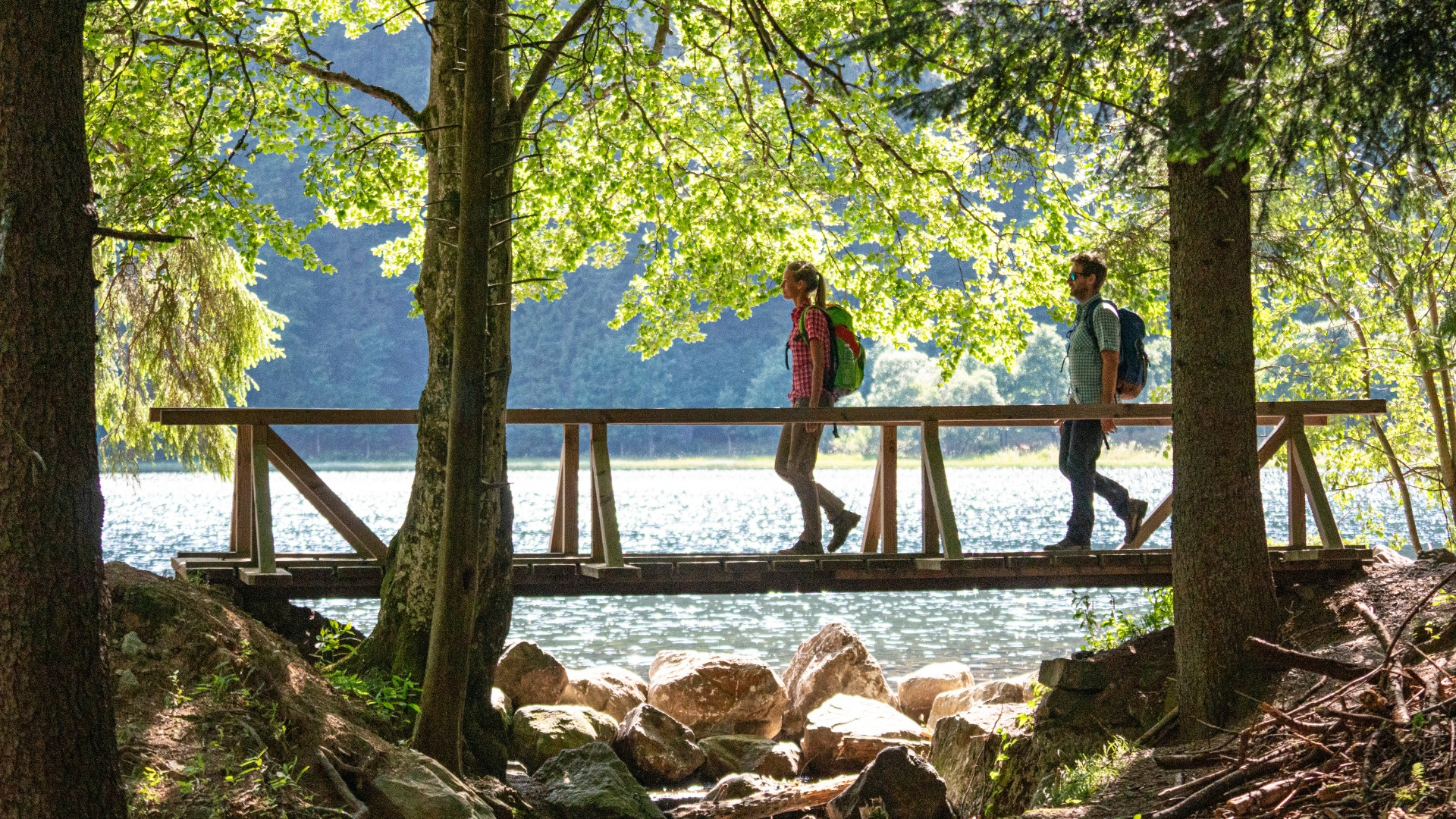 deugp0008-germany-feldsee