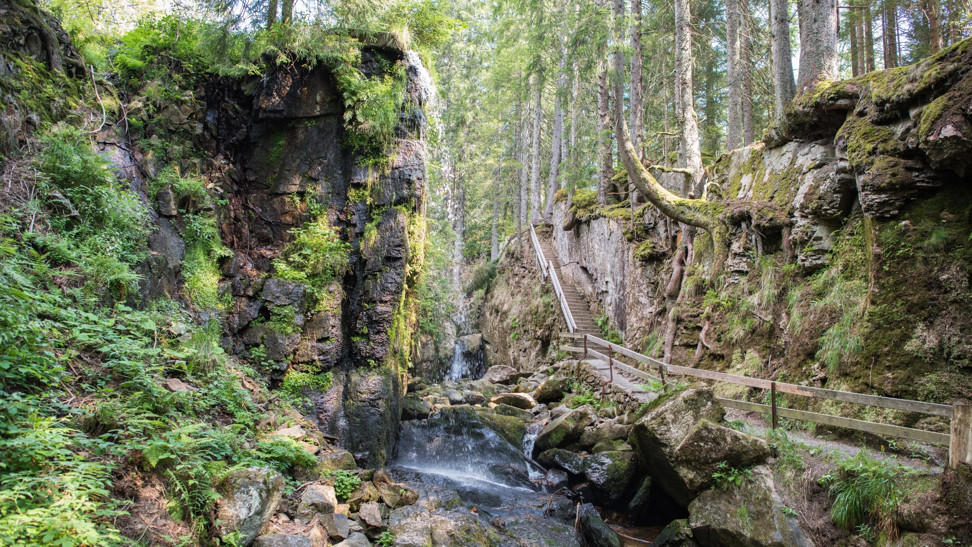 deugp0008-germany-les-cascades-de-menzenschwand