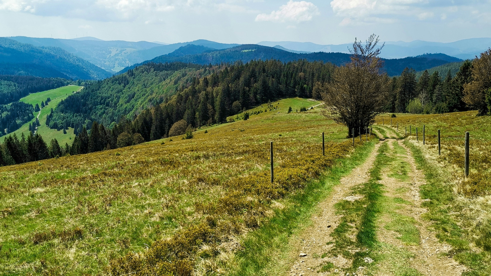 deulp0003-germany-herzogenhorn-2